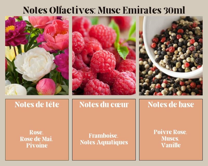 notes olfactives eau de parfum Musk Emirates 30ml - ayat perfumes